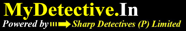 india detectcives india detectives logo